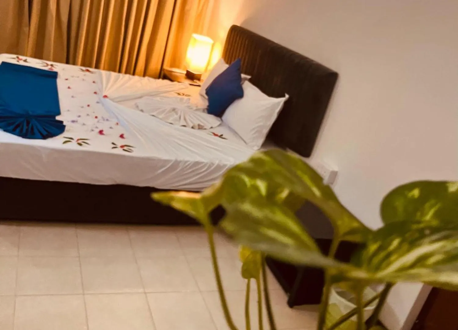 Ocean Beauty Guest House Νεγκόμπο