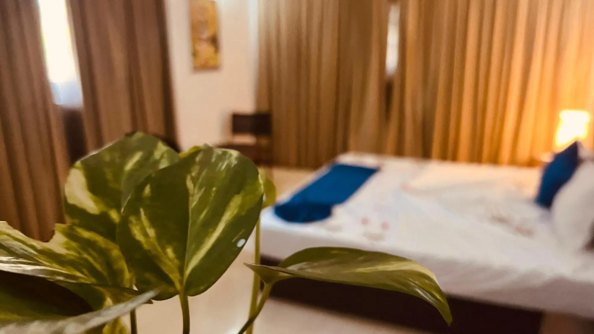 Ocean Beauty Guest House Negombo